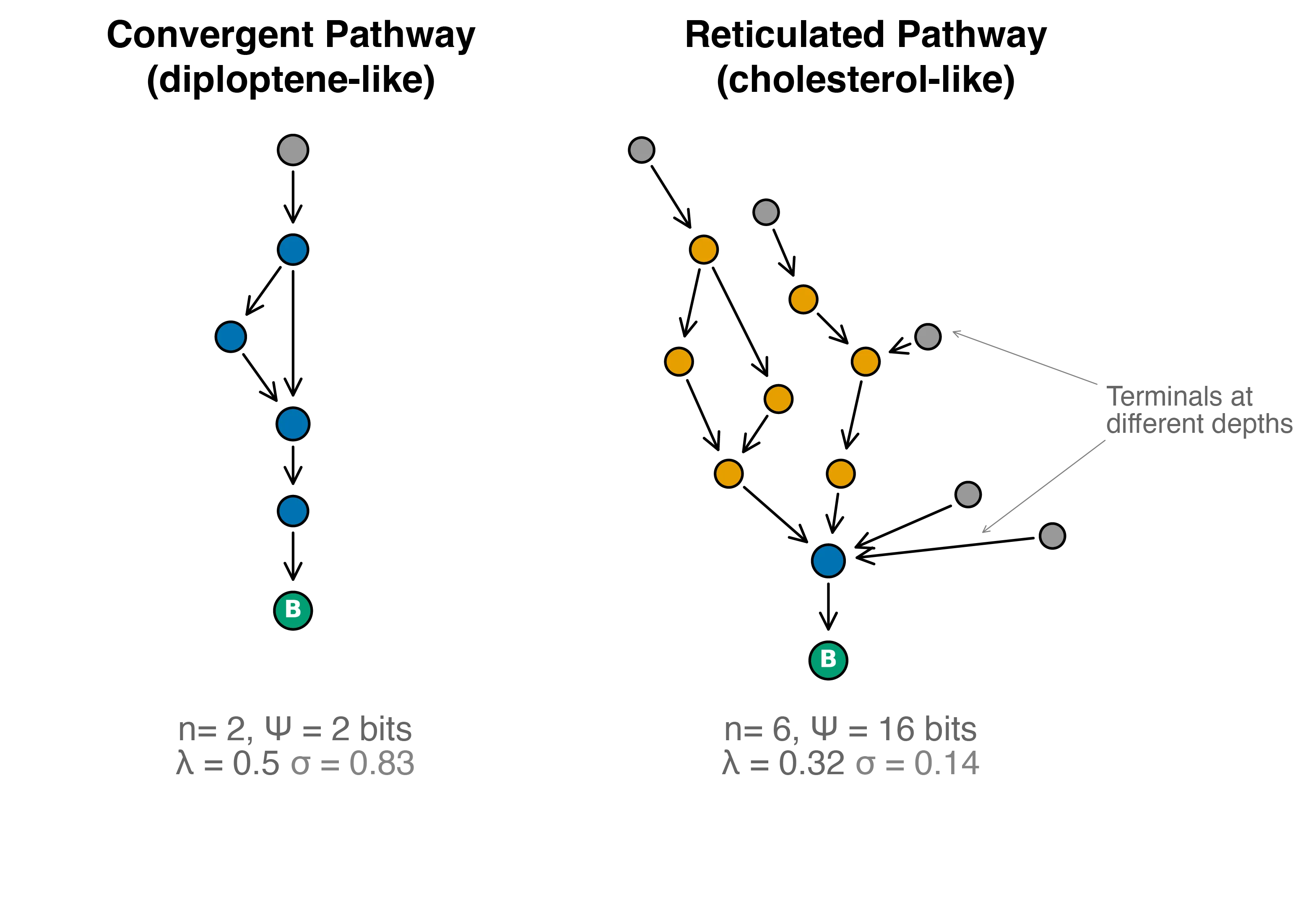 The Information Content of Molecular Fossils