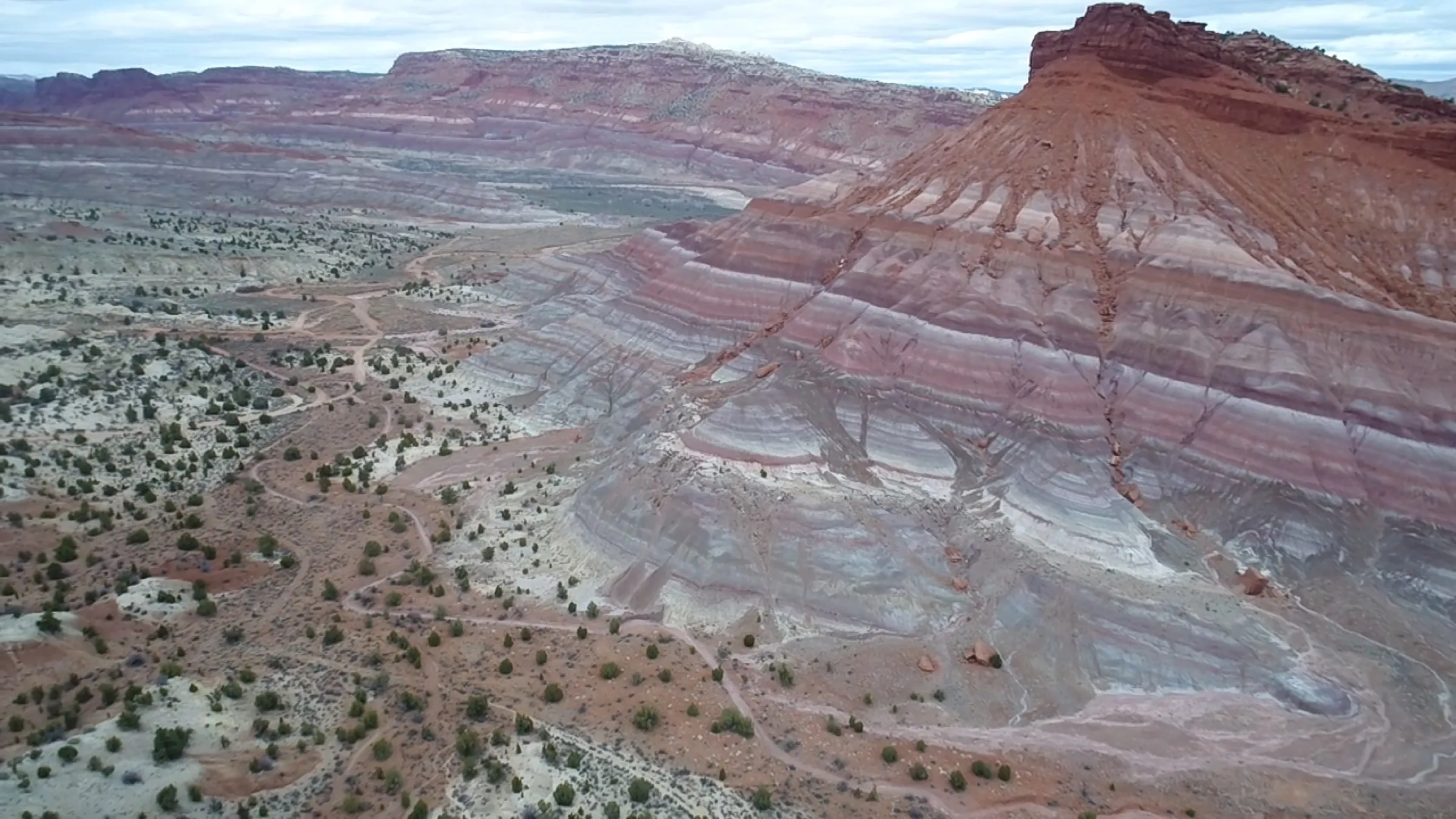 Understanding Records of Life