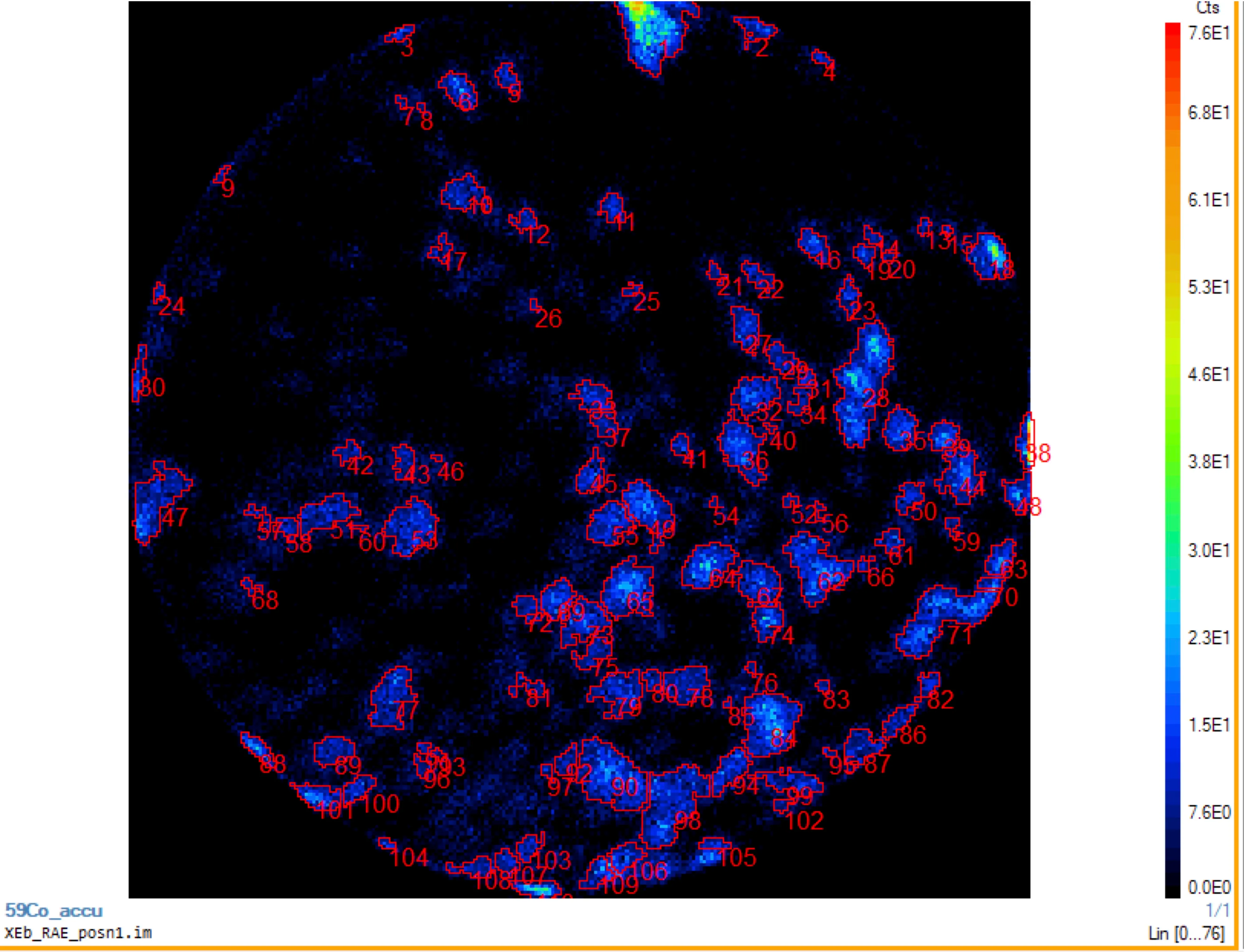 Investigating Metabolic Heterogeneity